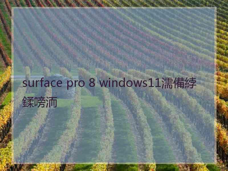 surface pro 8 windows11濡備綍鍒嗙洏