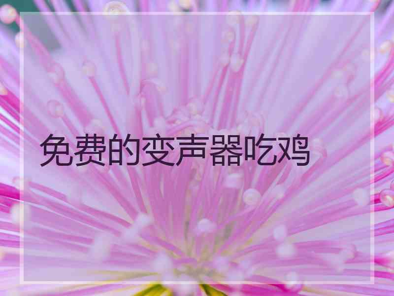 免费的变声器吃鸡