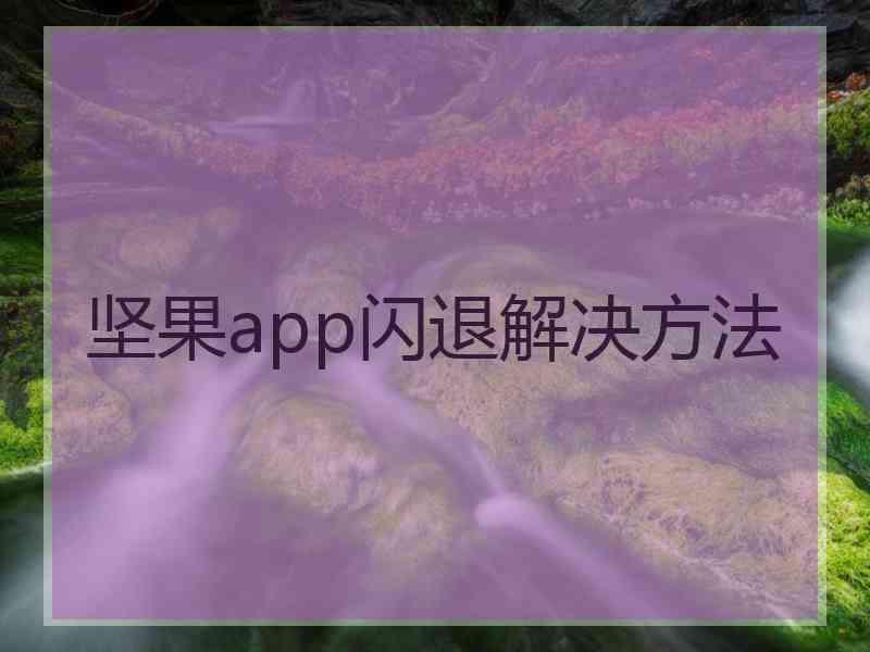 坚果app闪退解决方法