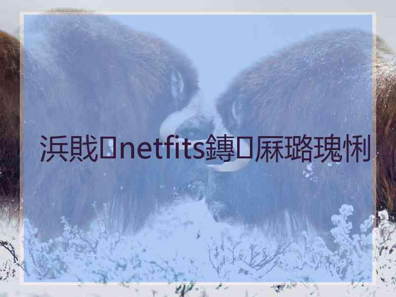 浜戝netfits鏄厤璐瑰悧