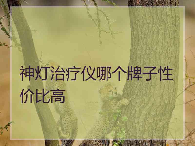 神灯治疗仪哪个牌子性价比高