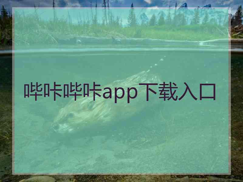 哔咔哔咔app下载入口