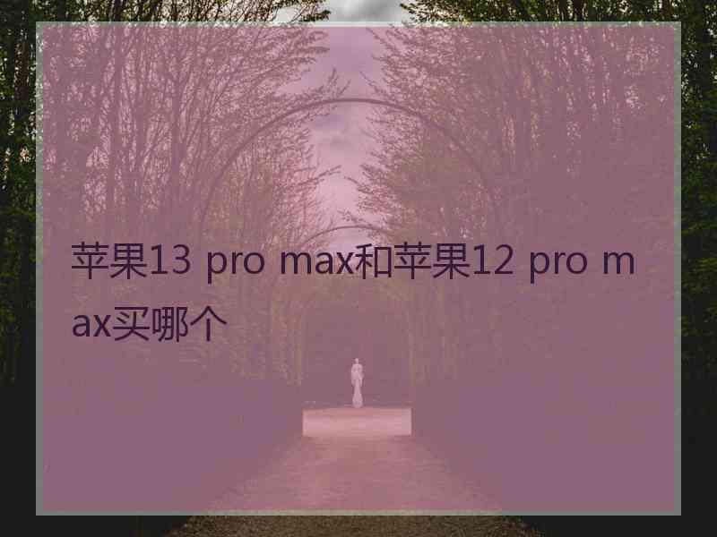 苹果13 pro max和苹果12 pro max买哪个