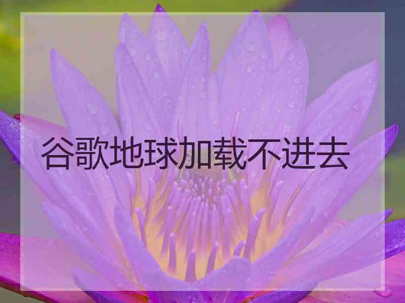 谷歌地球加载不进去