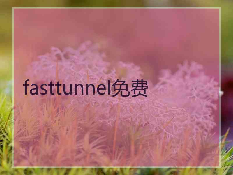 fasttunnel免费