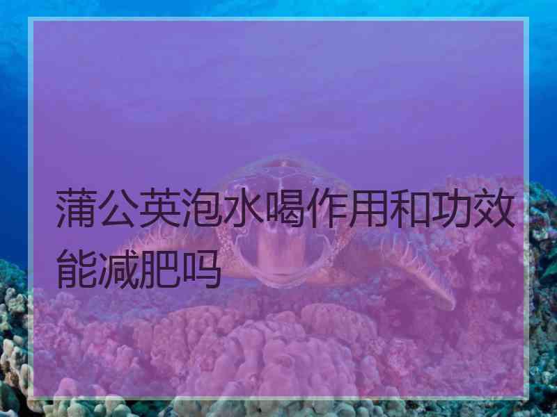 蒲公英泡水喝作用和功效能减肥吗