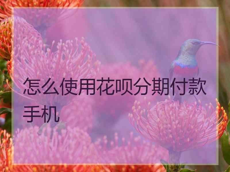 怎么使用花呗分期付款手机