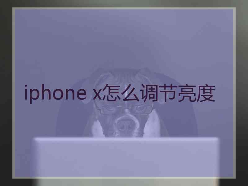 iphone x怎么调节亮度