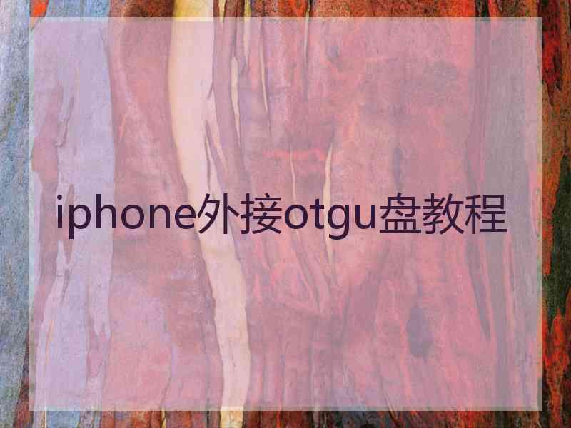 iphone外接otgu盘教程