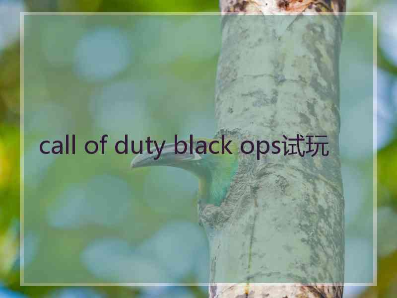 call of duty black ops试玩