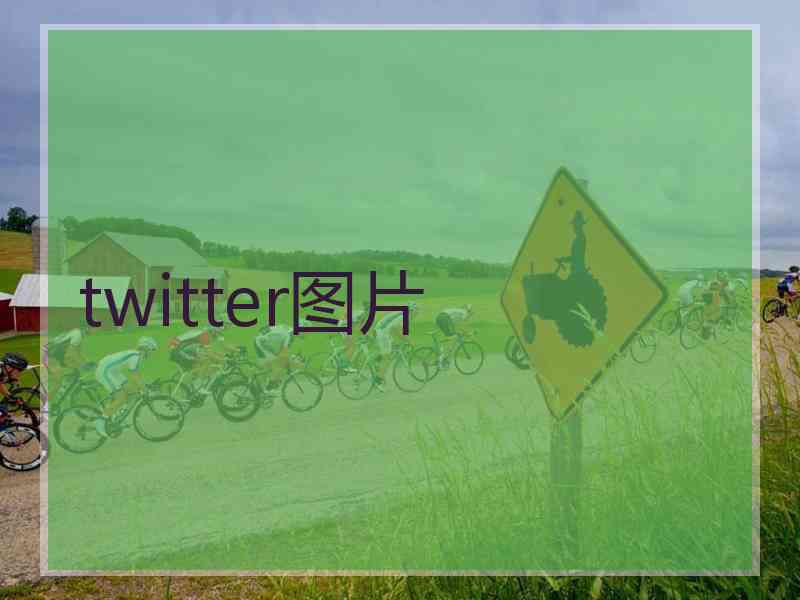 twitter图片