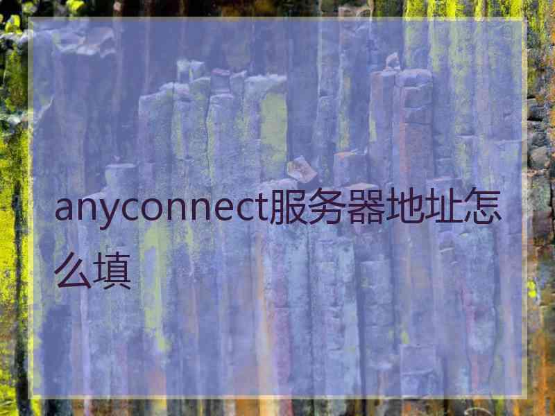 anyconnect服务器地址怎么填