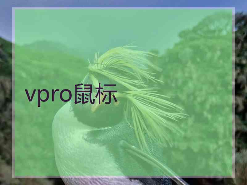 vpro鼠标