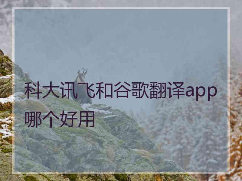 科大讯飞和谷歌翻译app哪个好用