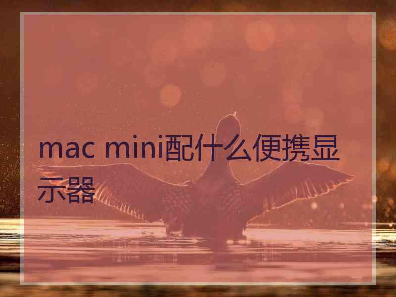 mac mini配什么便携显示器