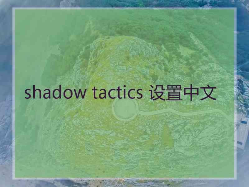 shadow tactics 设置中文