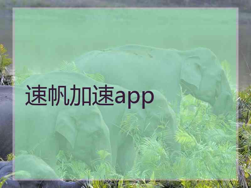 速帆加速app