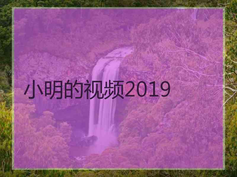 小明的视频2019