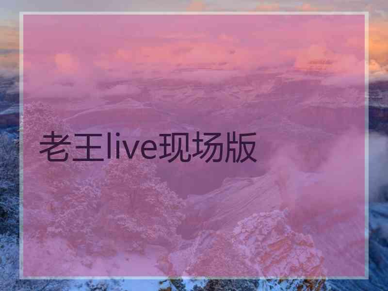 老王live现场版