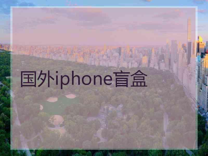 国外iphone盲盒