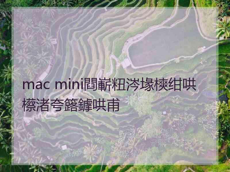 mac mini閰嶄粈涔堟樉绀哄櫒渚夸簬鎼哄甫