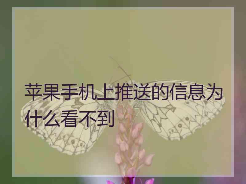 苹果手机上推送的信息为什么看不到