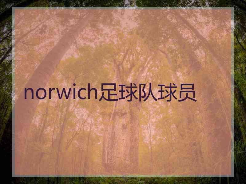 norwich足球队球员