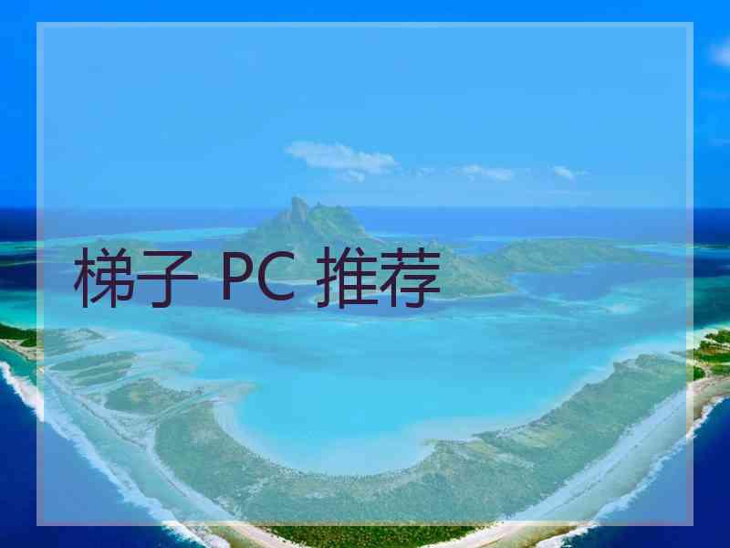 梯子 PC 推荐