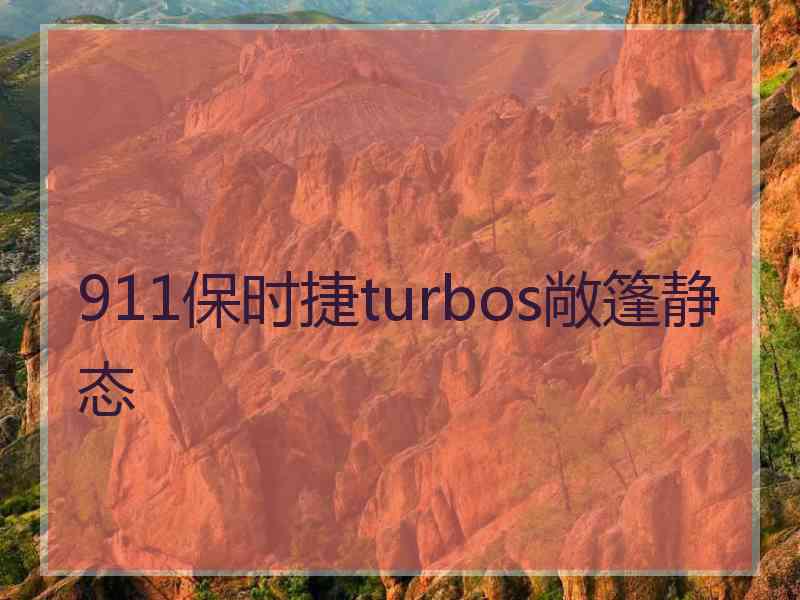 911保时捷turbos敞篷静态