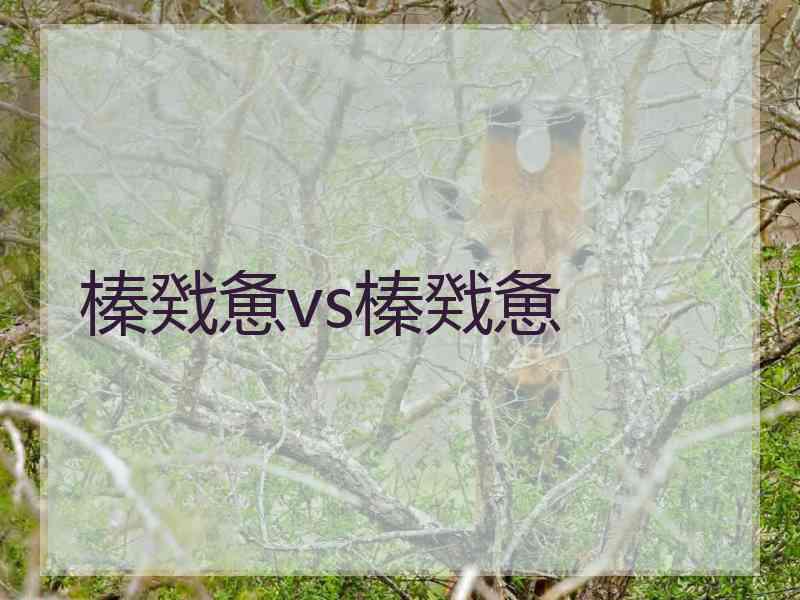 榛戣惫vs榛戣惫