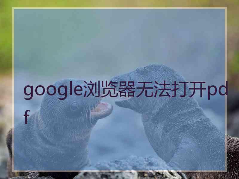 google浏览器无法打开pdf