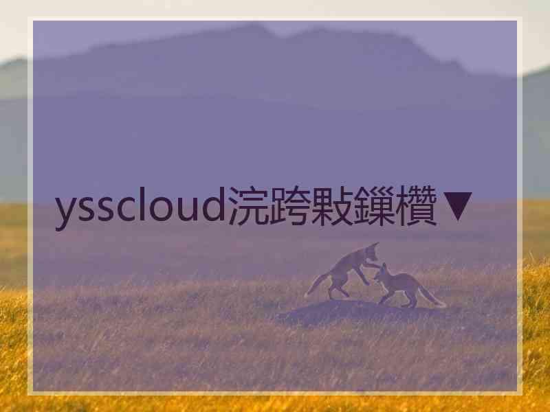 ysscloud浣跨敤鏁欑▼