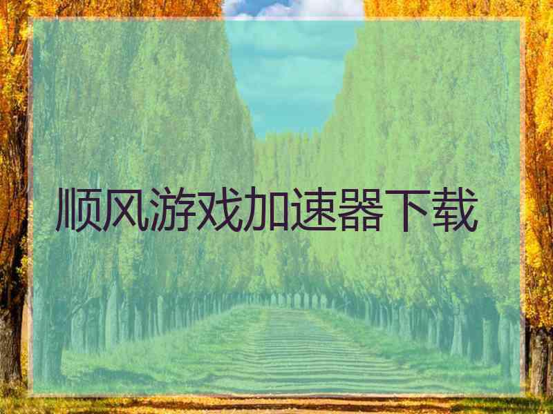 顺风游戏加速器下载