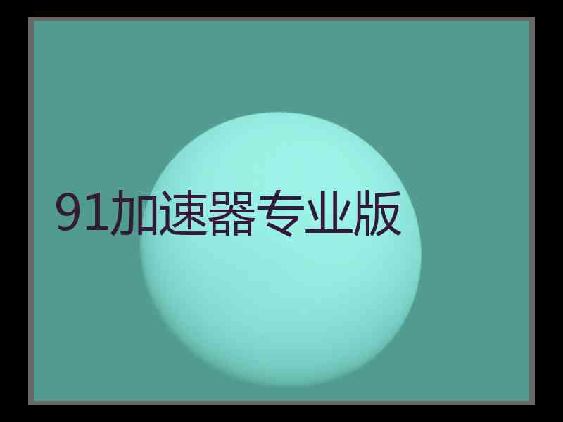 91加速器专业版