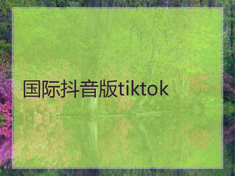 国际抖音版tiktok