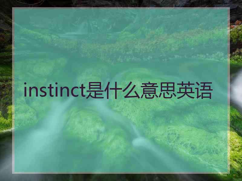 instinct是什么意思英语