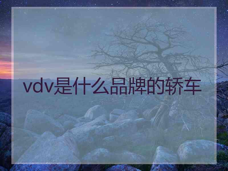 vdv是什么品牌的轿车