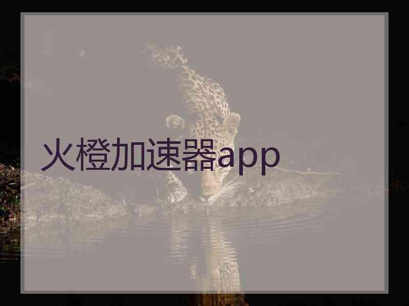 火橙加速器app