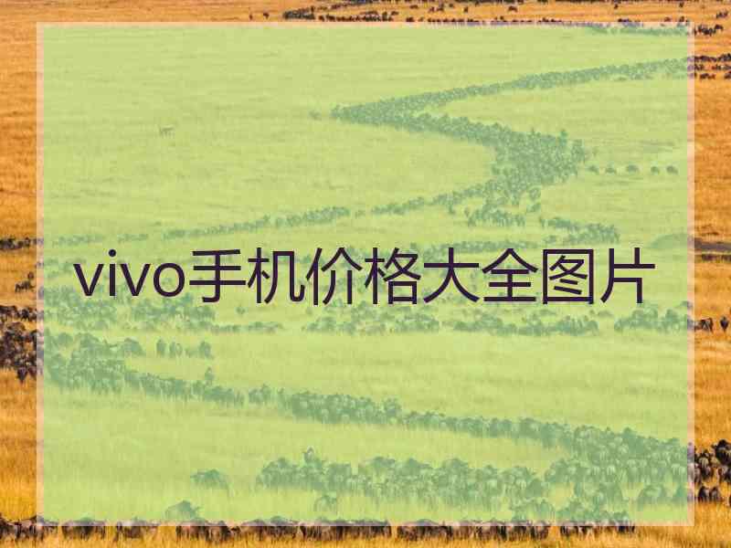 vivo手机价格大全图片