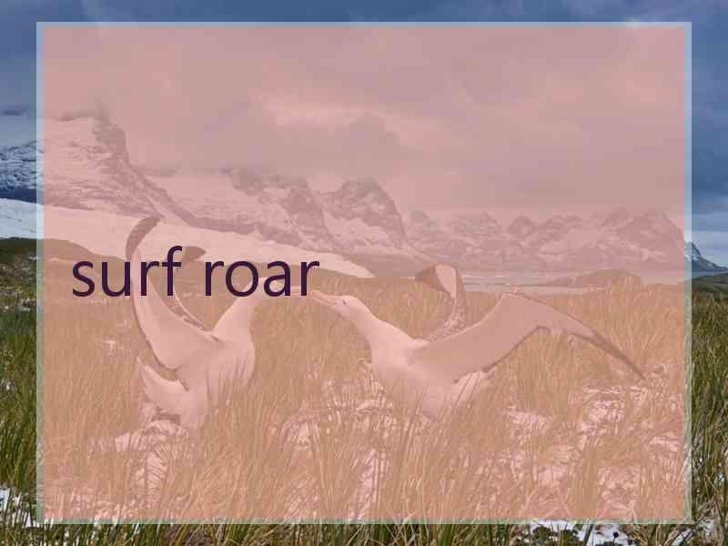 surf roar