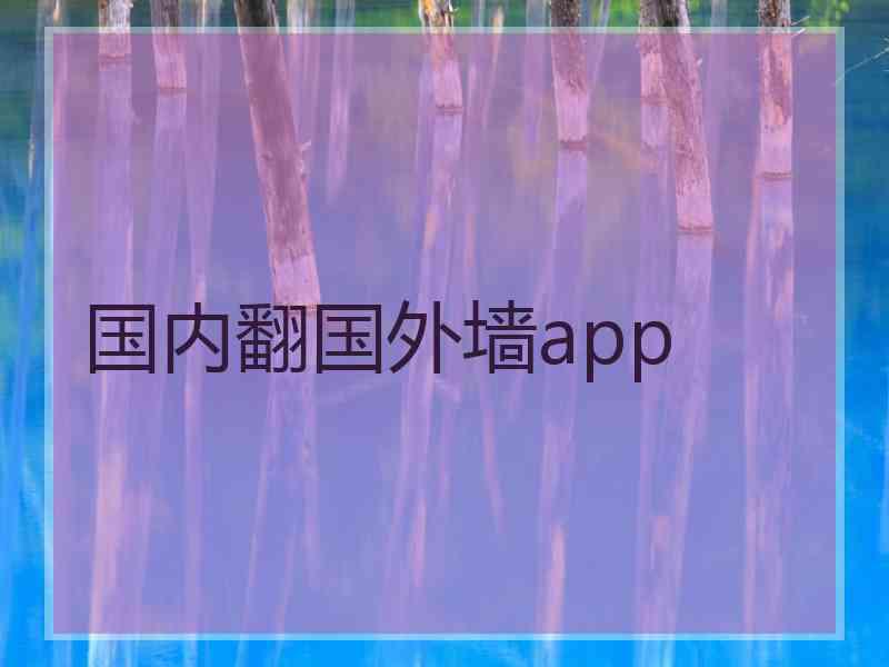 国内翻国外墙app