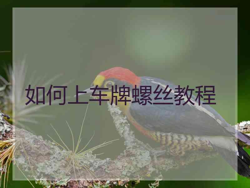 如何上车牌螺丝教程