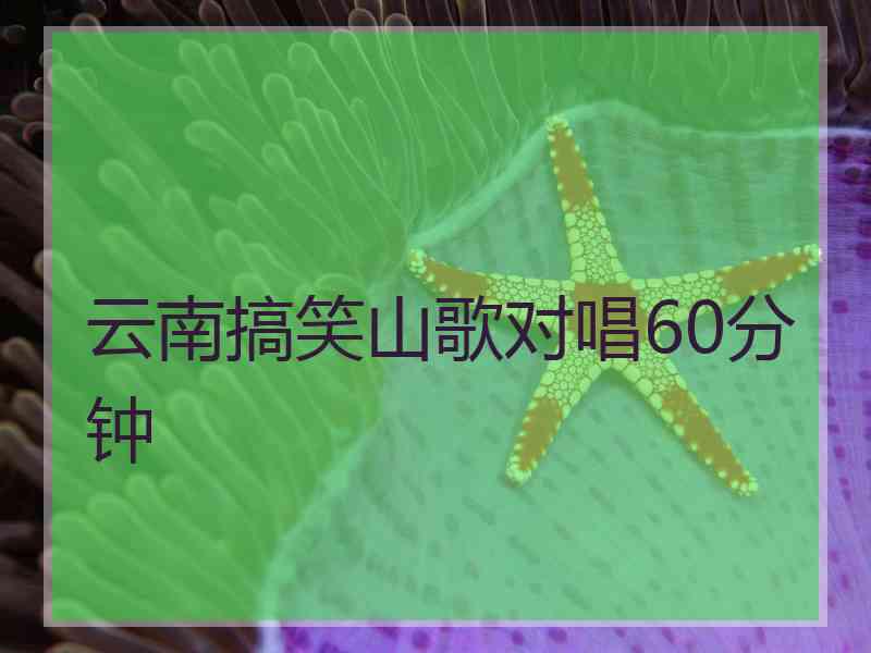 云南搞笑山歌对唱60分钟