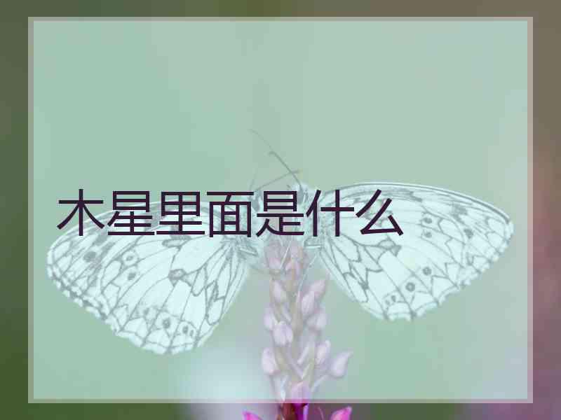 木星里面是什么