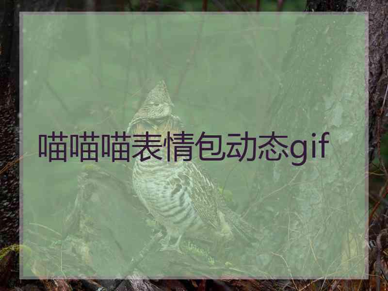 喵喵喵表情包动态gif