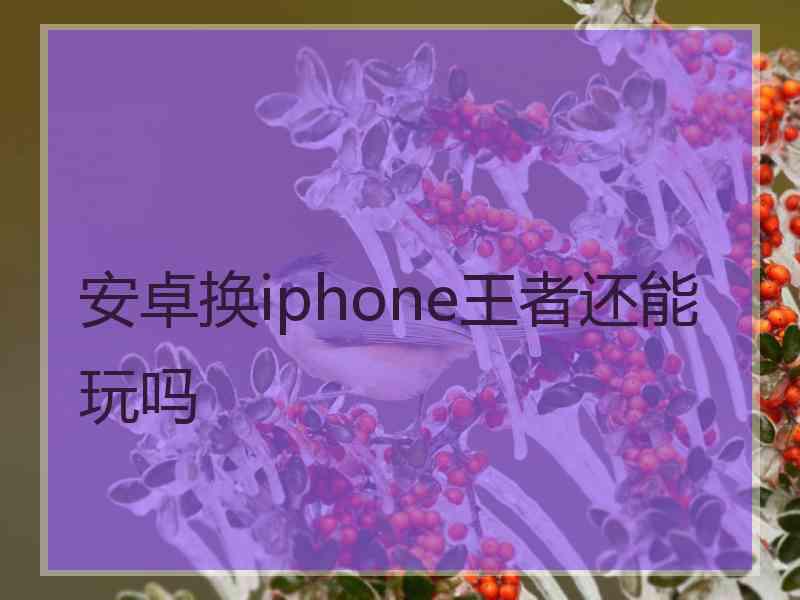 安卓换iphone王者还能玩吗