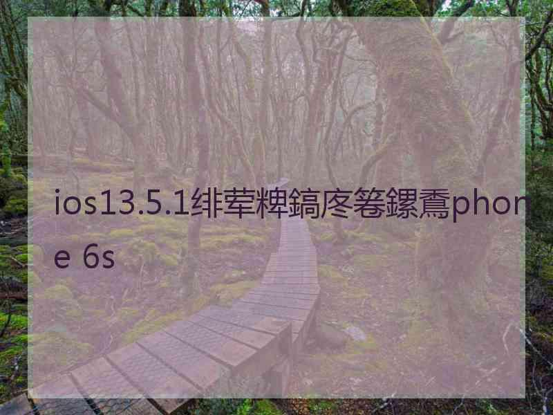 ios13.5.1绯荤粺鎬庝箞鏍穒phone 6s