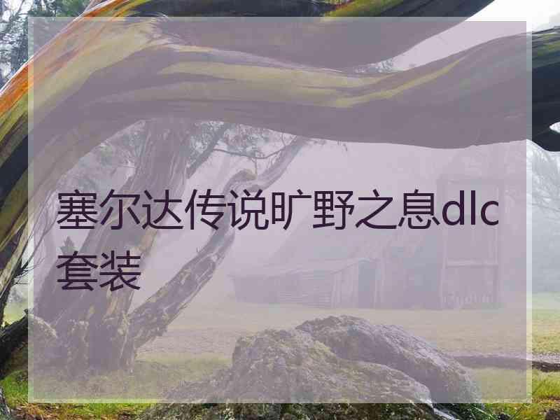 塞尔达传说旷野之息dlc套装