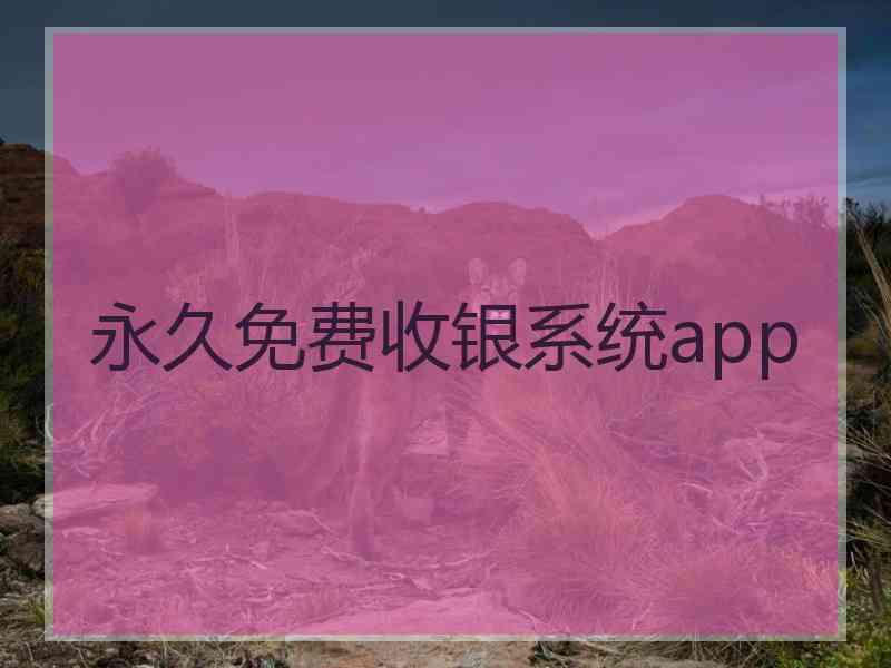 永久免费收银系统app