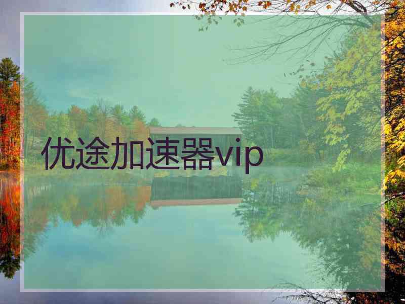 优途加速器vip